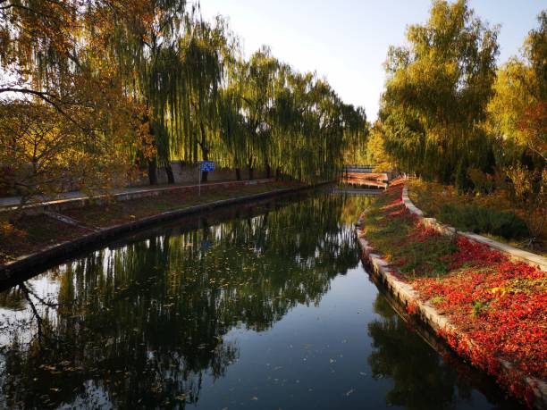 istock Beautiful lake inside Beijing Zoo, China 1307920744