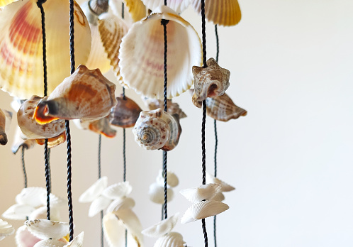 Nautical style hanging seashells decoration
