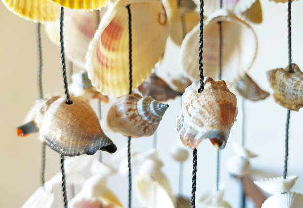istock Nautical style hanging seashells decoration 1307925155