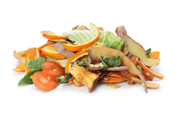 istock Pile of organic waste for composting on white background 1307930640