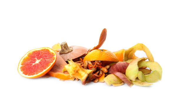 istock Pile of organic waste for composting on white background 1307930678