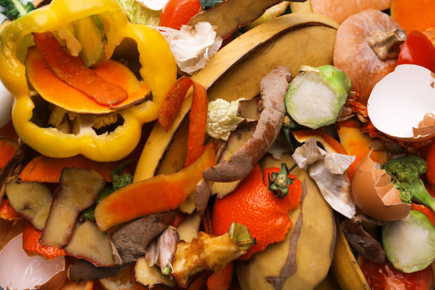 istock Pile of organic waste for composting as background, closeup 1307930690