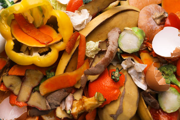 pile of organic waste for composting as background, closeup - rotting banana vegetable fruit imagens e fotografias de stock