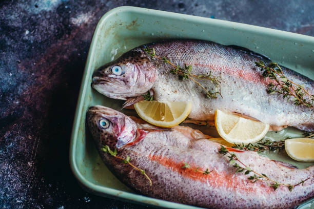 istock Fresh fish before cooking, seasoned with herbs, pepper, thyme and lemon. Fresh fish trout for baking on a dark kitchen background 1307932934