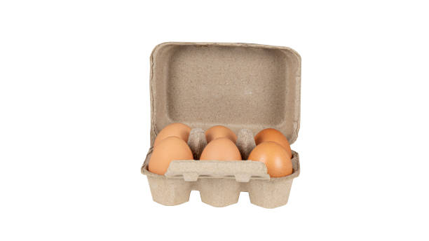 ovos em uma caixa verde. isolado em um fundo branco. - cholesterol ellipse shell box - fotografias e filmes do acervo