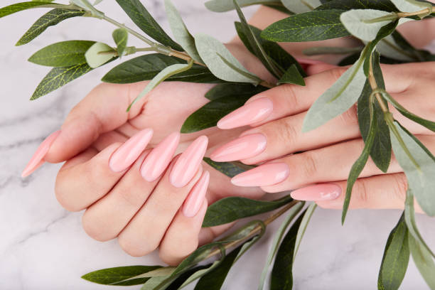 istock Hands with long artificial manicured nails colored with pink nail polish 1307937378