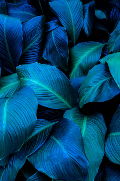 istock Full Frame of Green Leaves Texture Background 1307937818