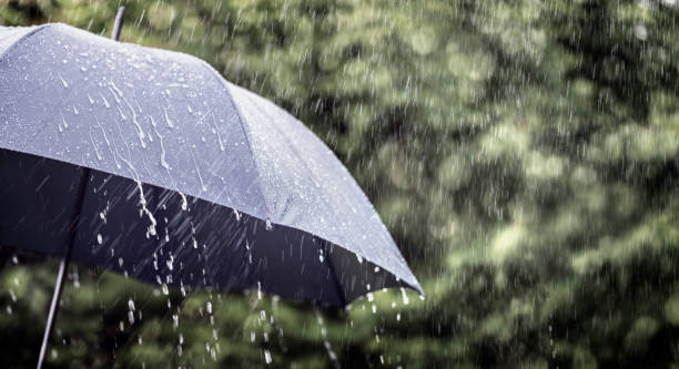 pluie sur le fond de parapluie, prévision de temps et concept d’environnement - flood water shield help photos et images de collection