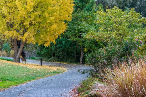 Photo of UC Davis Arboretum in the Autumn