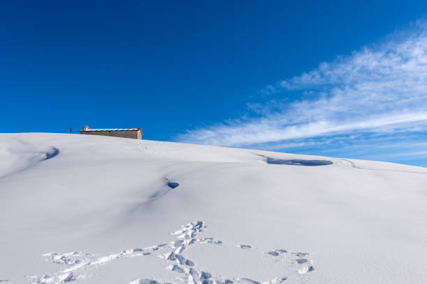 雪と古い酪農場と冬のレッシニア高原 - ヴェネトイタリア - snow horizon winter shed ストックフォトと画像