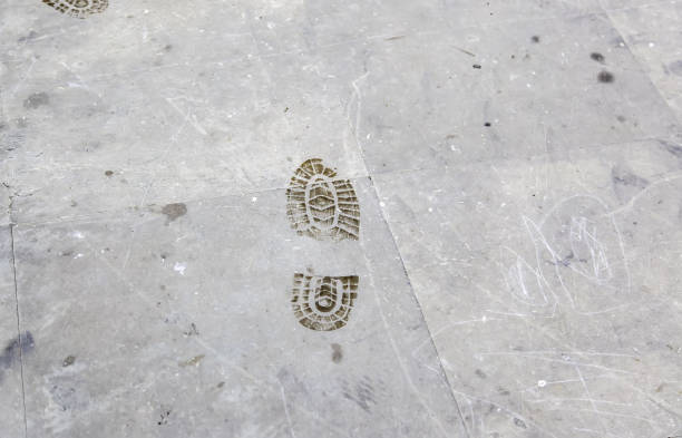 Footprint shoe protector disclosed during the examination.