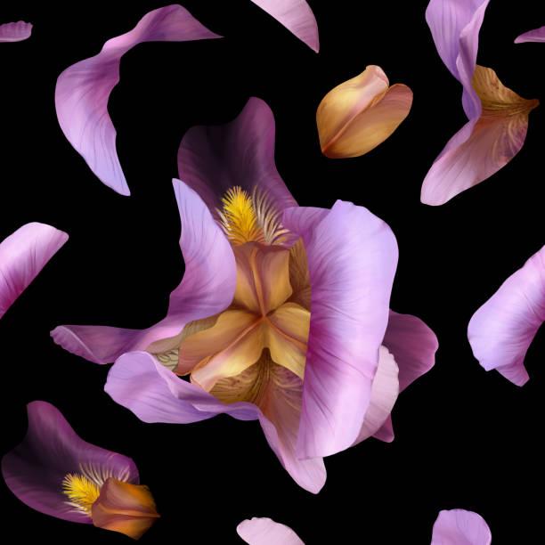 iris blume nahtloses muster auf schwarzem hintergrund - summer flower head macro backgrounds stock-grafiken, -clipart, -cartoons und -symbole