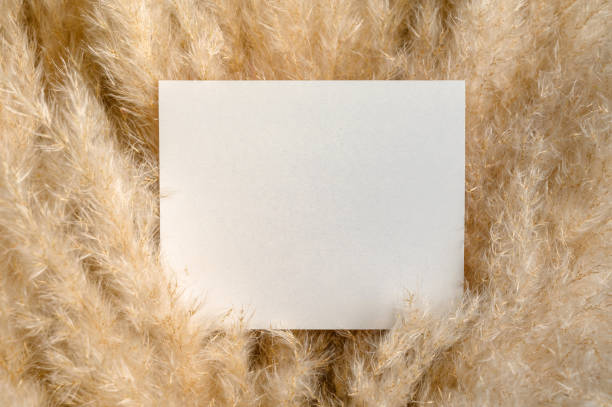 istock Paper Card Mockup on a nature background. Advertising card. 1307947809