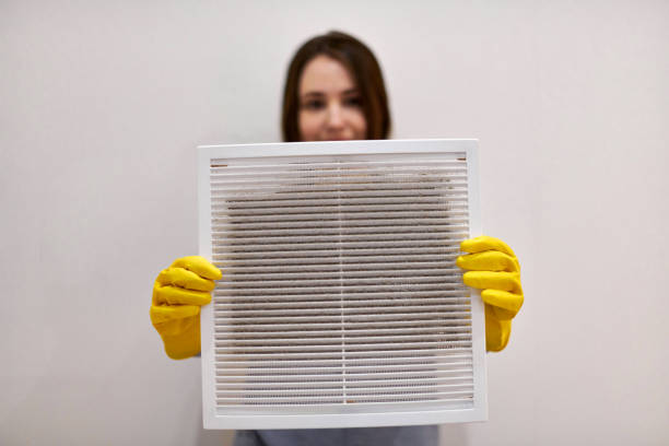 Woman holding dirty and dusty ventilation grille, blurred. stock photo
