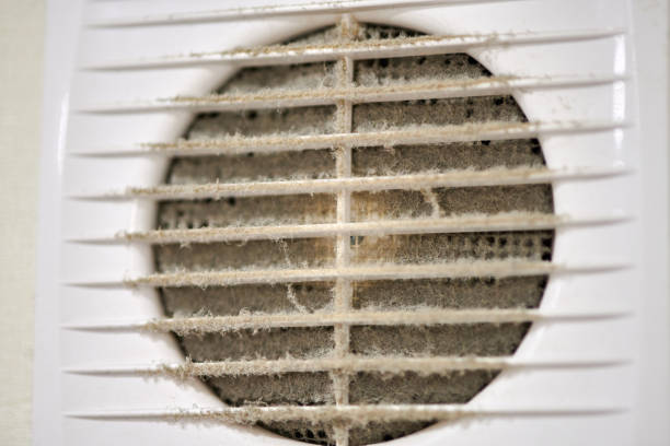 istock Dirty air ventilation grill of HVAC with clogged filter. 1307947885