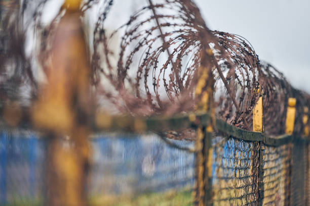 Barbed wire on fence of restricted area Barbed wire on fence of restricted area. No unauthorized entry. Old fence of military border territory barbed wire wire factory sky stock pictures, royalty-free photos & images