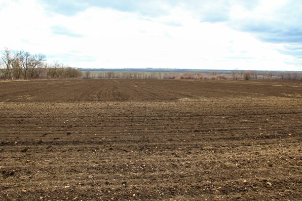 istock Plowed agricultural field in spring 1307948174