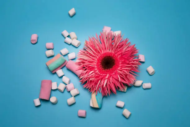 Photo of Pink flower and marshmallows on the blue background.