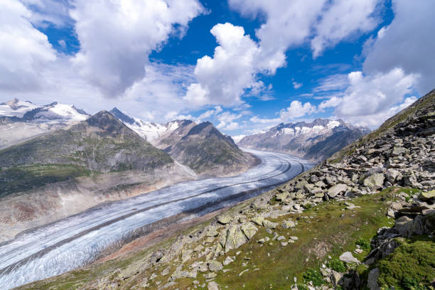 알라취 빙하 - aletsch glacier 뉴스 사진 이미지