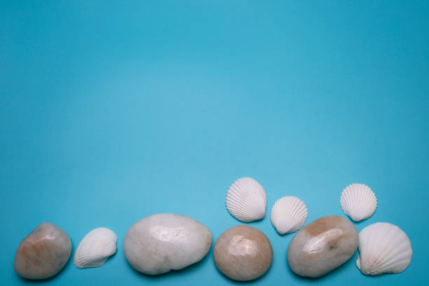 istock Sea shells and small stones on the blue background, with free space for text. 1307961638
