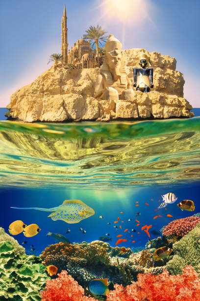 istock Collage about Sharm El Sheikh 1307961851