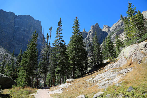 istock Trail to Emerald Lake 1307962923
