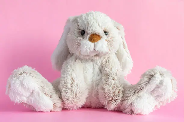 Photo of Stuffed bunny on pink background. Easter concept