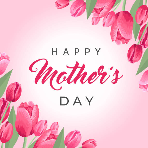 Happy mothers day square banner. Vector greeting card for social media, online stores, poster. Text of happy mother's day. A vignette of beautiful tulips, leaves and flower buds on pink background. Happy mothers day square banner. Vector greeting card for social media, online stores, poster. Text of happy mother's day. A vignette of beautiful tulips, leaves and flower buds on pink background bouquet backgrounds spring tulip stock illustrations