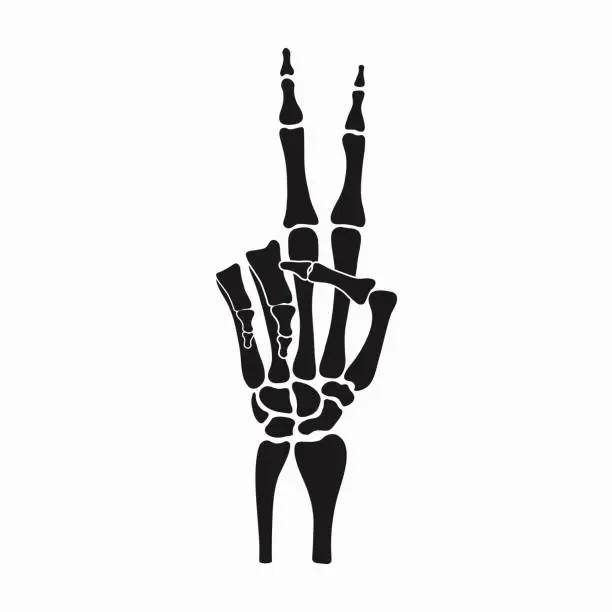 Vector illustration of Peace sign of skeleton hand, gesture made of fingers bones. Vector illustration.
