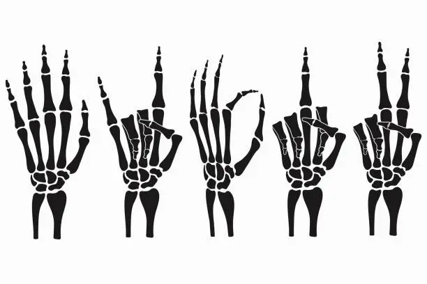 Vector illustration of Skeleton hand gestures set. Collection of hand-drawn bones signs. Vector illustration.