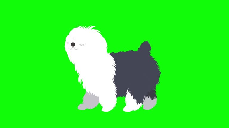 2,060 Dog Cartoon Stock Videos and Royalty-Free Footage - iStock | Hot dog cartoon, Dog cartoon vector, Rich dog cartoon 2,060 Dog Cartoon Stock Videos and Royalty-Free Footage - iStock | Hot dog cartoon, Dog cartoon vector, Rich dog cartoon