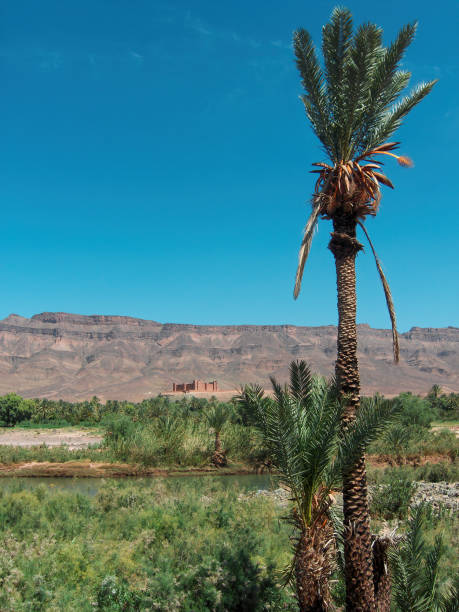 istock Stunning landscape in Morocco 1307980981