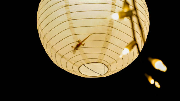 istock A small lizard, gecko silhouette standing still inside of a lantern with yellow light. 1307983806