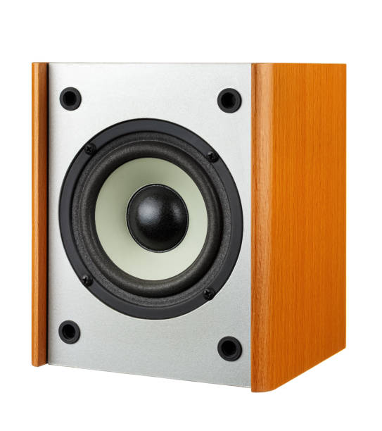 istock Music speaker in brown wooden case with a silver front panel isolated on white background 1307986508