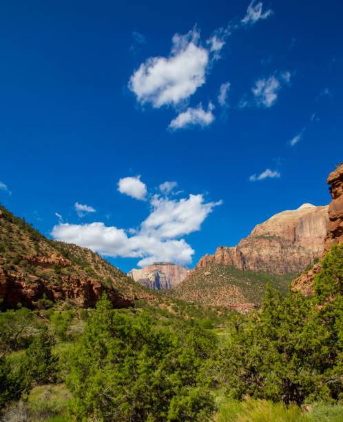 istock Zion national park in Utah 1307987732