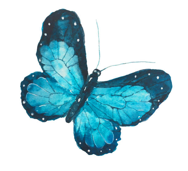 istock The blue watercolor butterfly for wedding invitation card or postcard, for print on fabric or dishes, for children's room 1307994130
