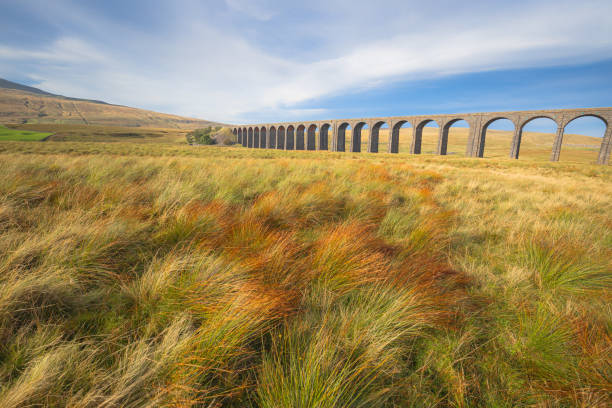 istock Ribblehead Viaduct, Yorkshire Dales 1307997284
