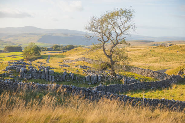 istock Ribblesdale, Yorkshire Dales 1307997452