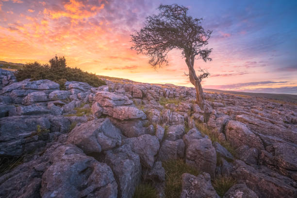 istock Twisleton Scar, Yorkshire Dales 1307998389