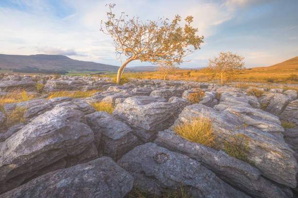 istock Southerscales, Yorkshire Dales 1307998548