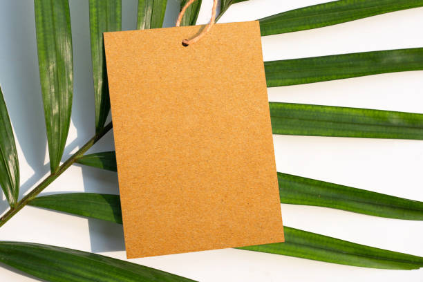 istock Blank brown paper on tropical palm leaves. 1307999529