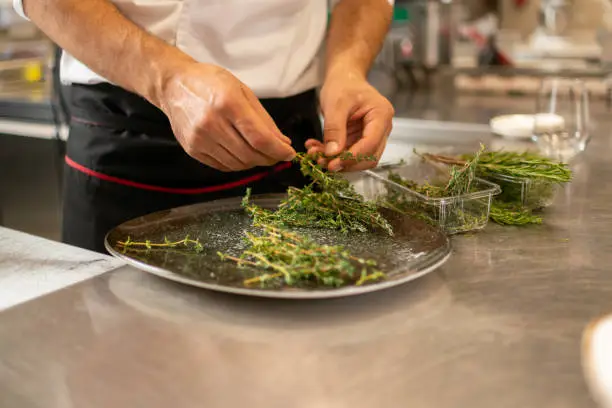 Chef choosing some herbs in a commercial kitchen