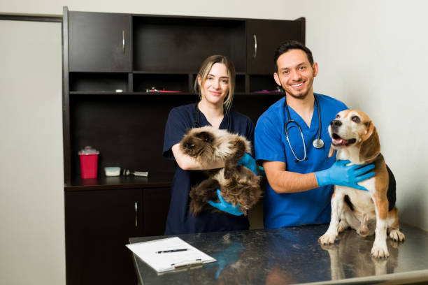 고양이와 개를 애지하면서 미소짓는 행복한 수의사 - doctor pets portrait animal hospital 뉴스 사진 이미지