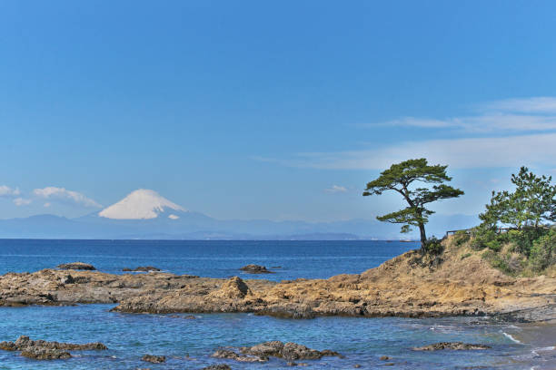 istock Mount Fuji  from tateishikouen 1308011095