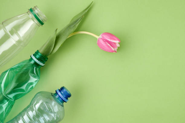 istock flat lay with tulip and plastic bottles isolated on green 1308011405