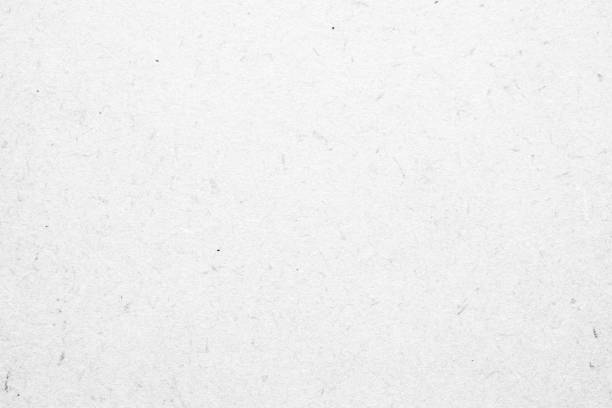 istock White recycle kraft paper cardboard surface texture background 1308011596