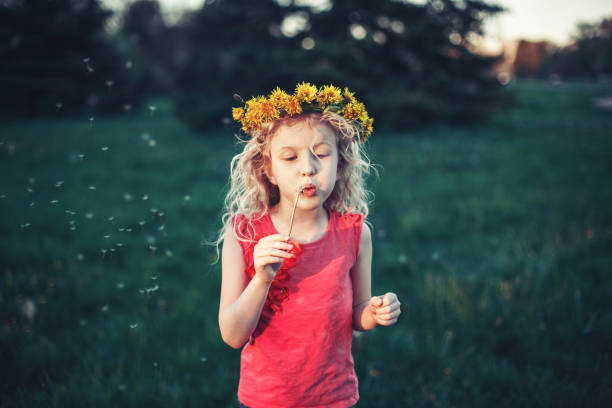 söt bedårande kaukasisk tjej blåser maskrosor. barn med blomsterpräst på äng. utomhus rolig sommar säsongsbetonad barnaktivitet. barn som har kul utanför. lycklig barndomslivsstil. - blomkrona bildbanksfoton och bilder