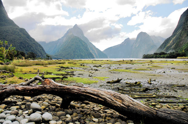 istock Milford Sound 1308027811