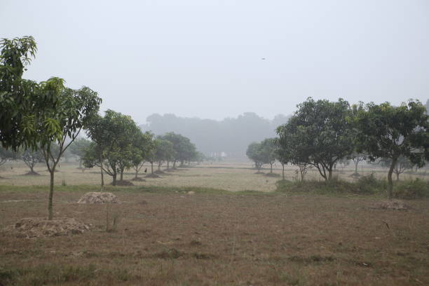istock Rural India | Agriculture | Farming. 1308034879