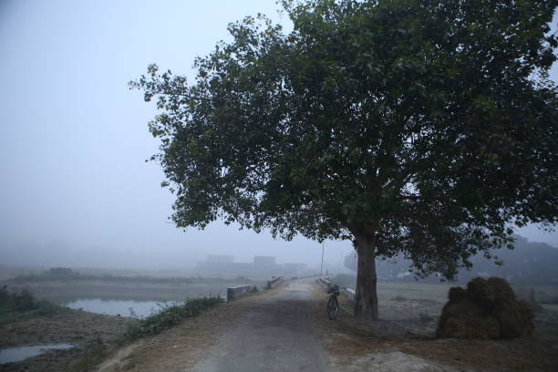 istock Rural India | Agriculture | Farming. 1308035595